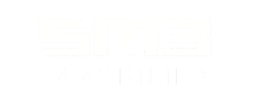 Logo SM3 Avec gris